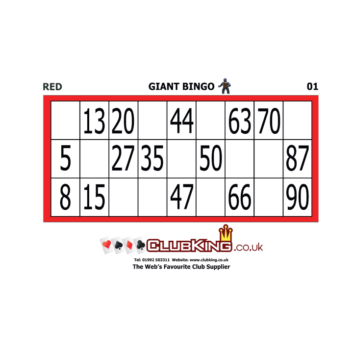 A4 Re-Useable Bingo Cards, Red 41-60